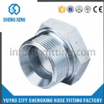 HYDRAULIC BSP MALE PLUG