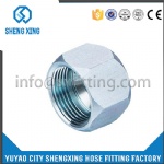 JIC 74°FEMALE PLUG CAP